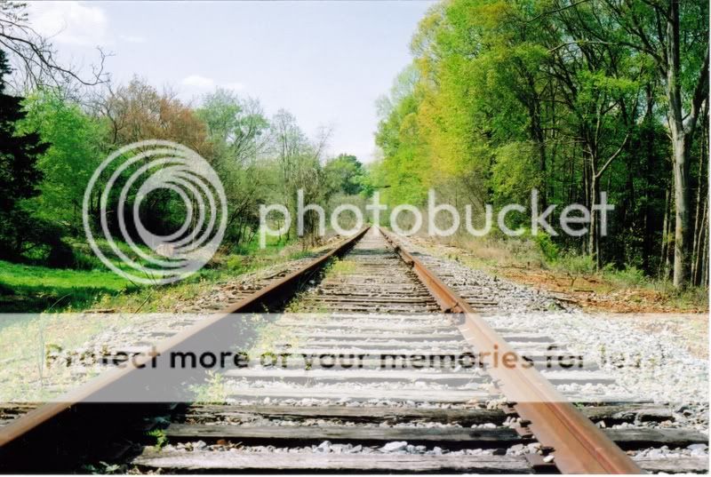 Tracks2.jpg