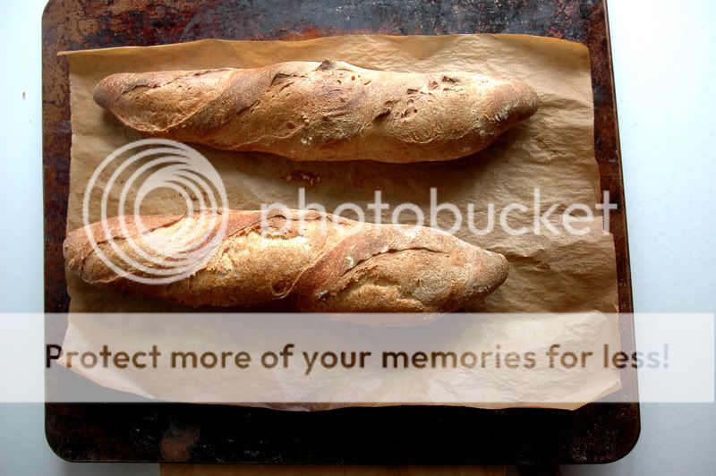 BREAD011.jpg