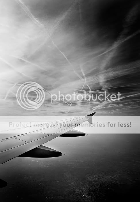 planewing007-bw-sm.jpg