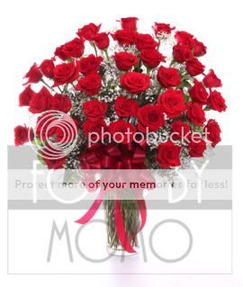 Roses019B.jpg