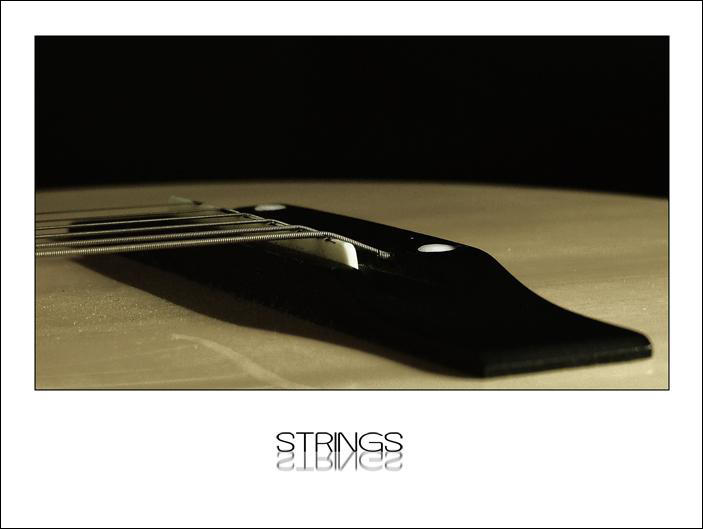 Strings_bridge_by_Sk8man.jpg