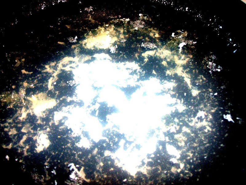 Supernova_in_my_frying_pan__by_blackflamingo24.jpg