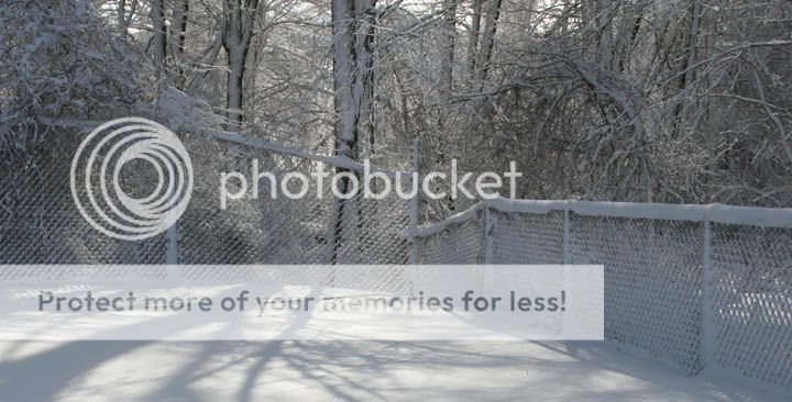 snow-fence-122704-1b.jpg