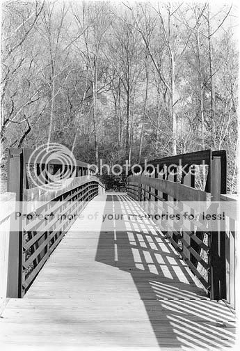 SCbridge-BW.jpg