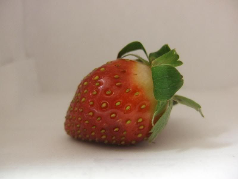 Strawberry.jpg