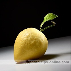 honl-photo-traveller8-softbox-example-macro.jpg