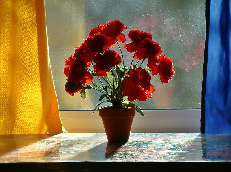 Red%20flowers.jpg