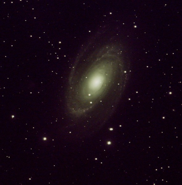 m81finalL.jpg