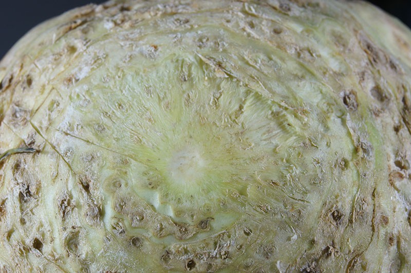 Celeriac800.jpg