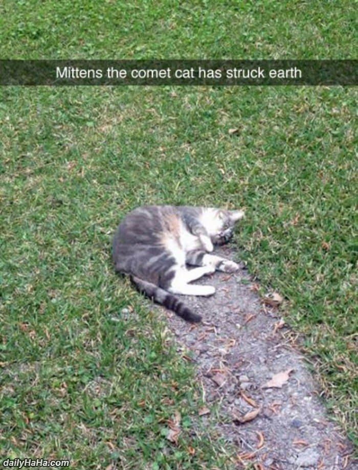 mittens_the_comet.jpg