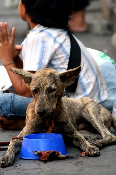 bangkok27.jpg