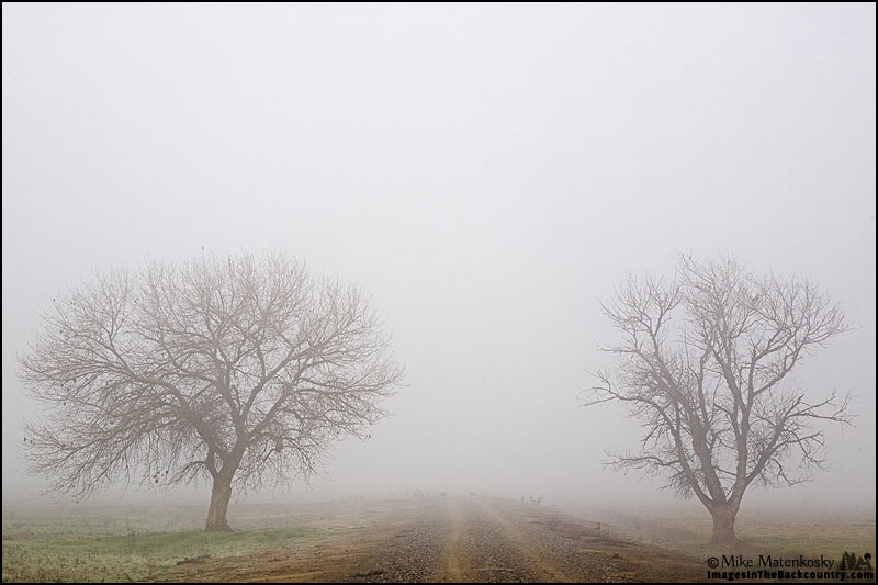 merced-nwr-011915-10.jpg