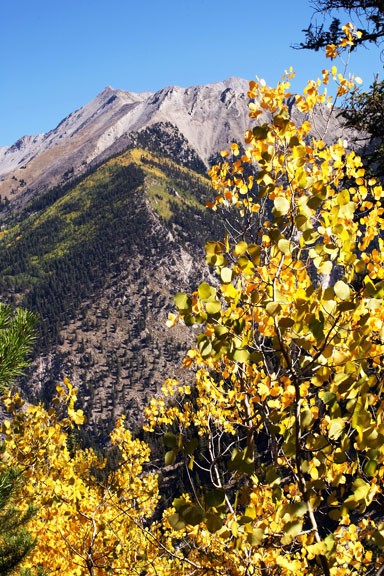 coaspens.jpg