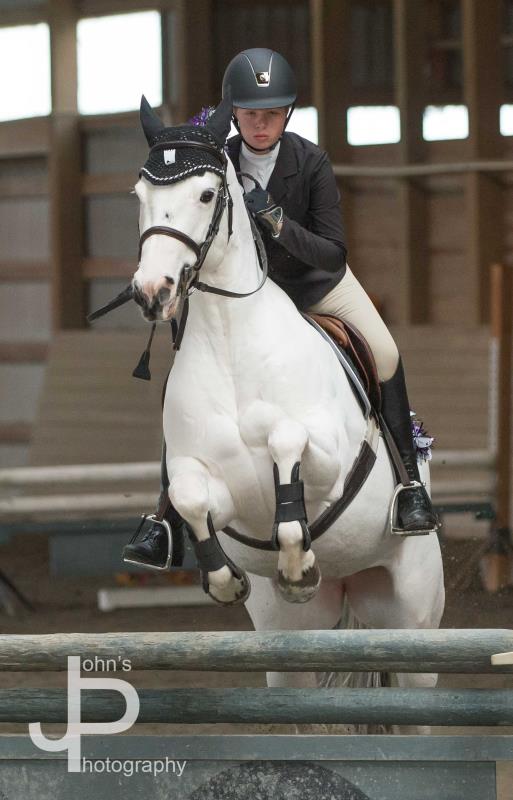 Horse_show%20(9).jpg