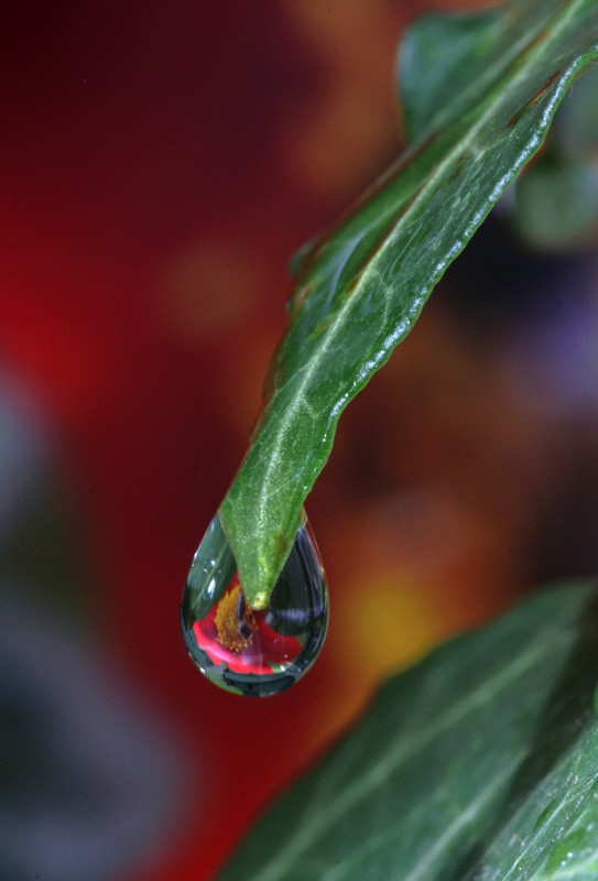 droplet02.jpg