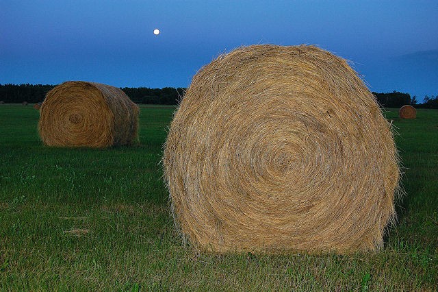 bales1SM.jpg