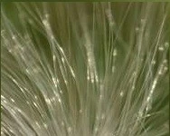 10846484_862705823780156_3969894692806926057_n.webp