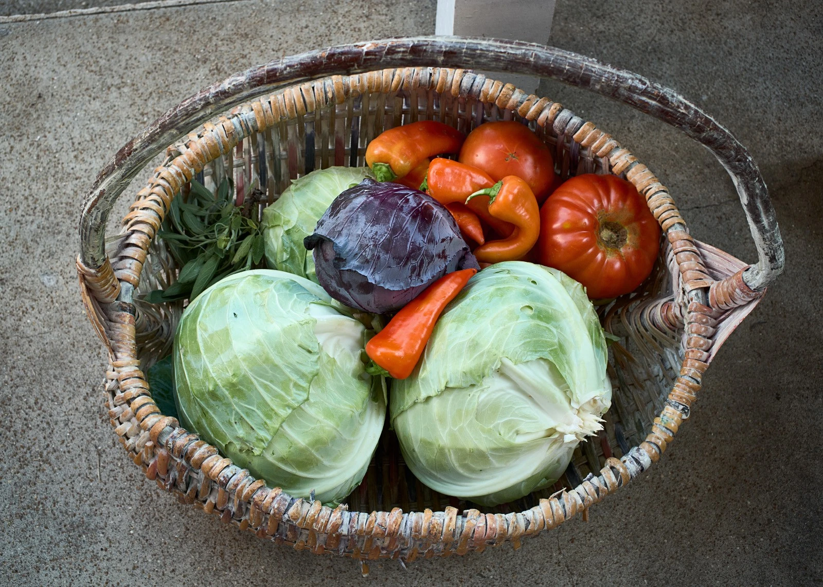 cabbages.webp