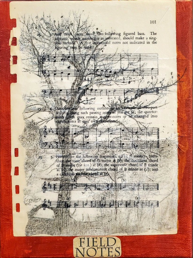 Field notes, final, resized.webp