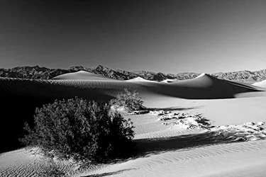 $Dunes_02_B&Wadd Contrast.webp