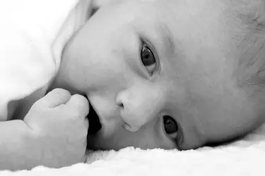$IMG_1603bw.webp
