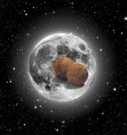 $FullMoony.webp