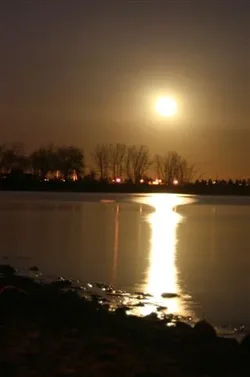 $moonrise.webp $moonrise.webp