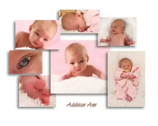 $addison.webp