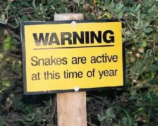 $snakesign.webp