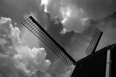 $molen.webp