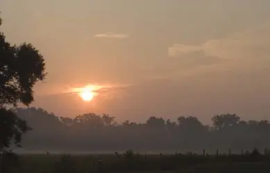 $TEST SUNRISE.webp