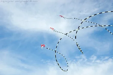 $newport_kites060904_07.webp