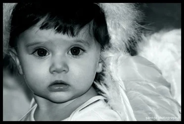 $LucieWings-01-copy.webp