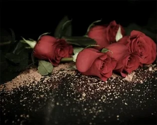 $RosesOnCasket.webp