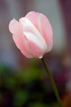 $IMG_1766.webp