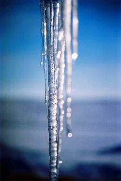 $Ice.webp