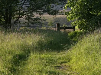 $footpath.webp
