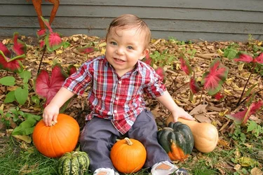 $devan and gourds.webp