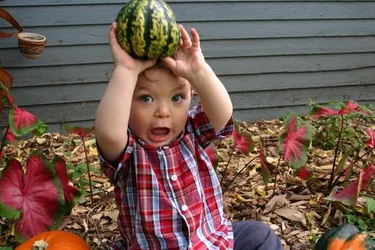 $devan about to shoot the gourd.webp