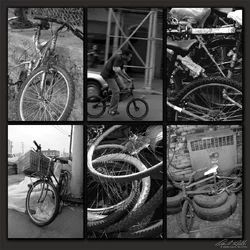$Bikes copy.webp