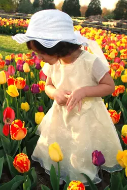 $Flowers.webp