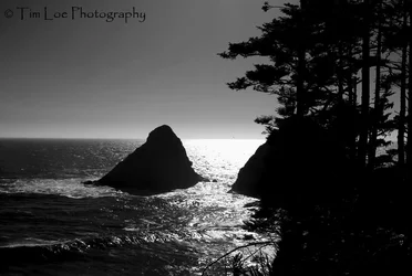 $©Coastal Hills copy.webp