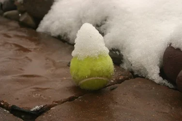 $unhappy tennis ball.webp