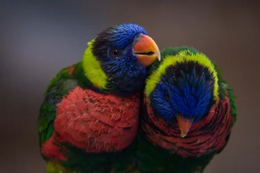 $_MG_0904.webp