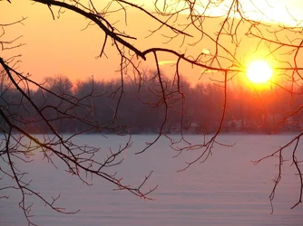 $IMG_2860.webp