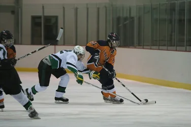 $Hockey 102.webp $Hockey 102.webp