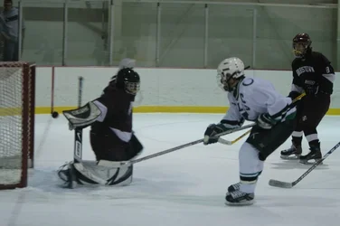 $Hockey 103.webp $Hockey 103.webp