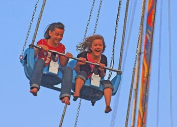 $Fun on the Swings cropped resize.webp