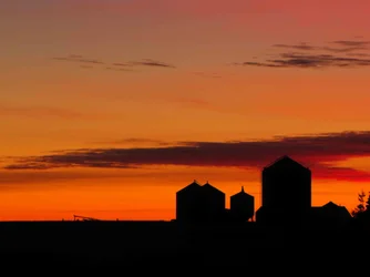 $Sunset over the farm.webp