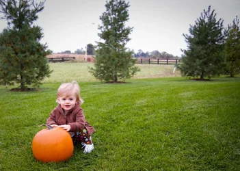 $Piper Pumpkin1.webp